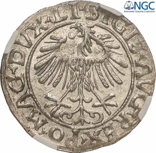 Zygmunt II August. Półgrosz 1556, Wilno NGC MS63