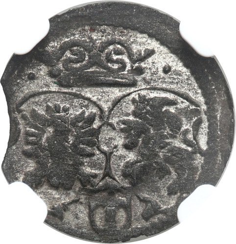 Zygmunt III Waza. Denar 1619, Kraków NGC MS61 (MAX) - RZADKOŚĆ R8