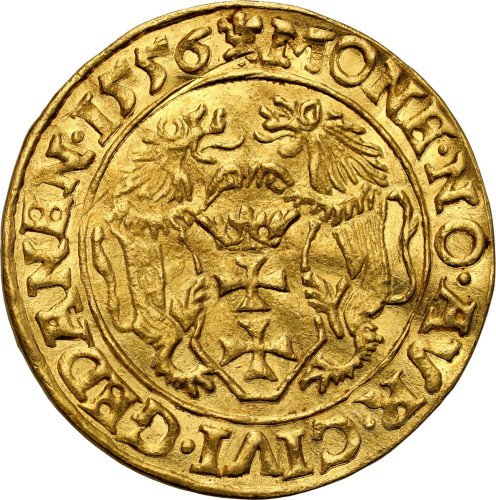 Zygmunt II August. Dukat 1556, Gdańsk ex. Styka - RZADKOŚĆ